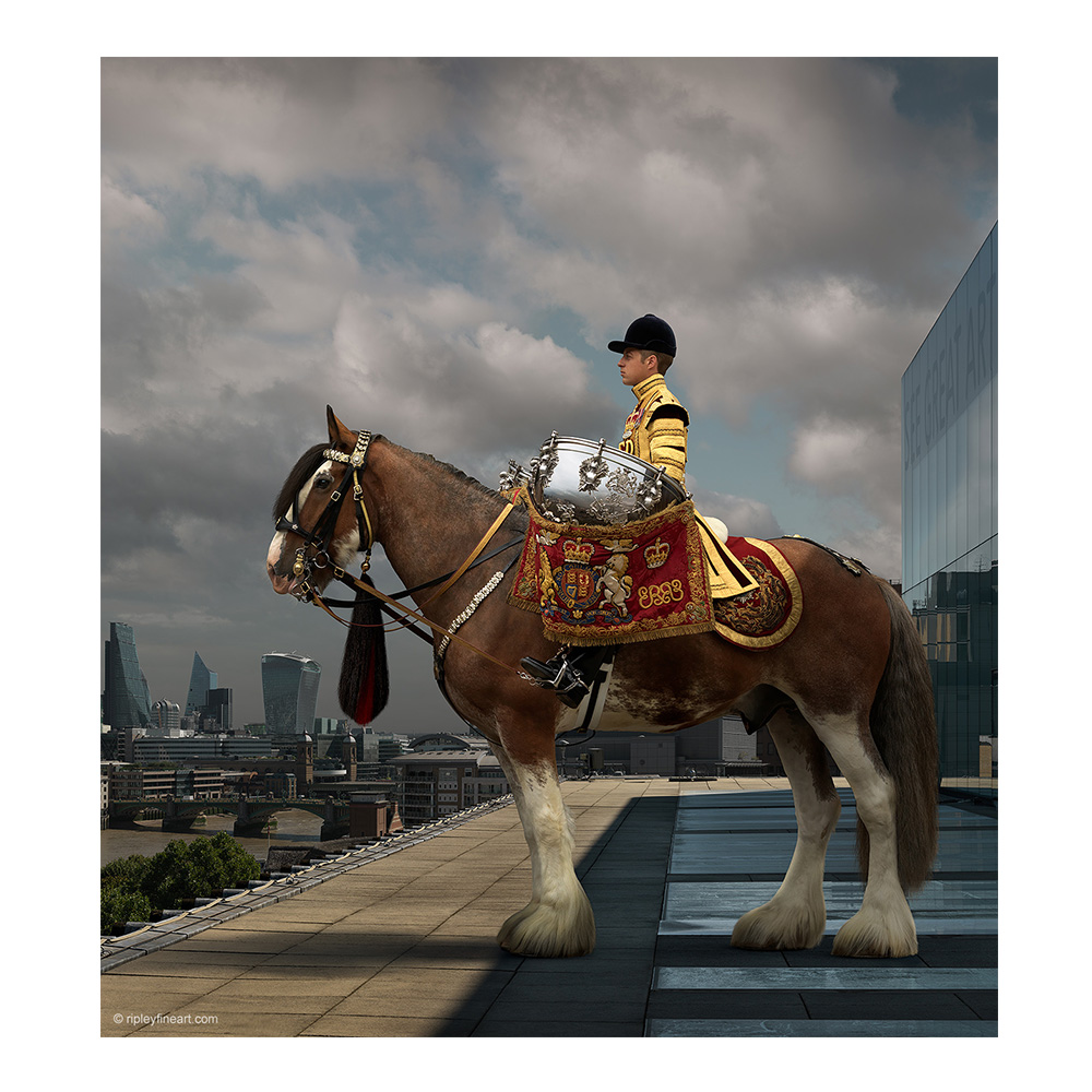 12 portraits of the Household Cavalry Mounted Regiment