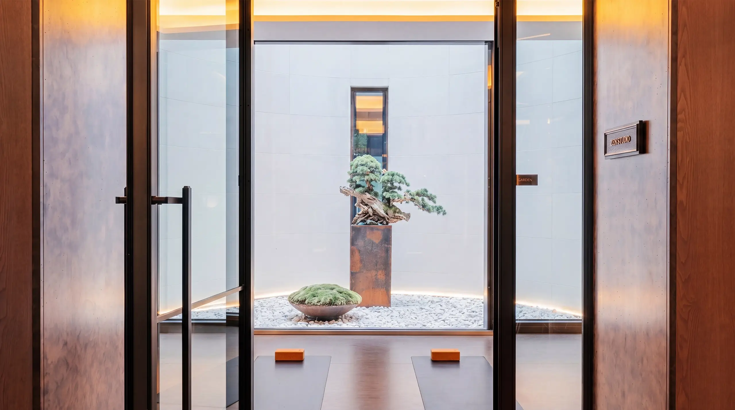 Zen Studio 